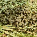 솔잎목장 이미지