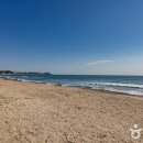 정암토종닭 이미지