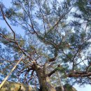 대축마을회관 이미지