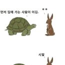 토끼와거북이 이미지