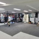 팀건복싱 이미지