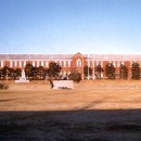 창영초등학교 이미지