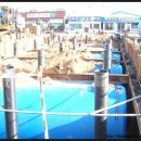 죽산농협주유소 이미지