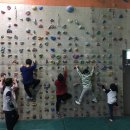 경희대 박사 Tiger kicks 태권도 이미지