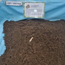 주식회사 유익한친구들 | ​[서울 아이와 가볼만한곳] 북서울꿈의숲 생물대탐험 곤충체험 & 시원한 북서울숲 미술관앞 물놀이 💦