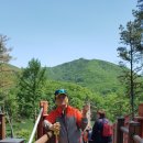 마       한       관 이미지