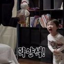 찌리릿 이미지