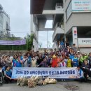 경북장애인자립생활센터 | 경북장애인자립생활센터, APEC 품격 높이기 `힘`