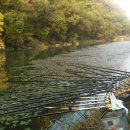 부남농장 이미지