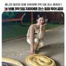 보홀 3박5일 자유여행 코스 일정 투어 공유