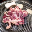 천보참숯