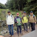 우면산3-10 이미지