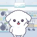 장수복지용품의료기 | 복지용구 구매처 이원건강의료기 화성점, 길 찾기부터 방문까지 한번에