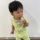 연세 경기 태권도장 이미지