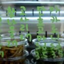 대박반찬식당 이미지