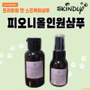 목욕하는고양이 | 민감한 피부의 고양이를 위한 스킨들리 피오니올인원샴푸로 목욕하는 방법