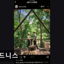 월드니스 | 영월 숙소 추천 월드니스 영월 월드니스, 자연 속 휴식처