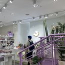 스노우폭스플라워강남 이미지