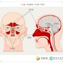경희바로한의원 이미지
