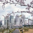 지에스25 미사중앙점 이미지