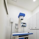 숲속동물병원 이미지