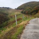 충남목장 이미지