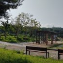 피자나라치킨공주영종 이미지
