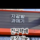 자갈밭과메기