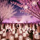 2025년 강서봄빛페스타 이미지