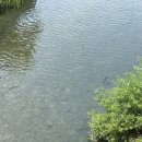김가네동묘역점 | [서울 나들이] 생애 첫 동묘! 동묘 데이트 구제샵 루스, 지디거리, 완구거리(왁뿌, 말랑이/사람 엄청 많음)