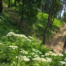 이미순농장 이미지