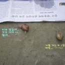 빠른달팽이 네이버블로그