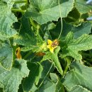 밀알농원 이미지