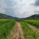 신광2목장 이미지