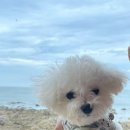 (주)재인 이미지