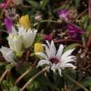 산본중앙공원 이미지