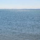 바다사람들 이미지