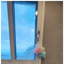 감포로 | 경주펜션 감포로민박 이용 후기