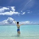 정하건강 | [공지] 두바이 몰디브 신혼여행 후기 경비 일정 디구파루 리조트 총정리 할인 코드