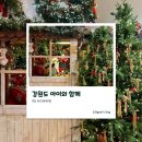 (주)아이들팜 | 강원도 속초 아이와 실내 가볼 만한 곳 크리스마스 분위기 가득한 테디베어팜