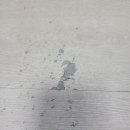 서울데코