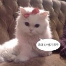 니즈커피 - 목포시 용해로59번길 15 | 니즈커피