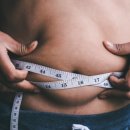 와이필라앤피티 이미지