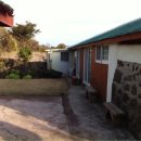 별별,당근이야기 이미지