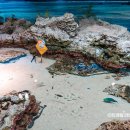 정원셀프주유소 | 오키나와 여행 아이랑 가볼만한곳 츄라우미 수족관 티켓 준비