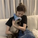 엠연우