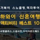 하와이 신혼여행 추천 액티비티 베스트10,거북이 스노클링,먹자투어,서핑