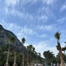 산방산의 품 이미지