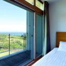 브릭 216 이미지