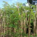 불목마을 이미지